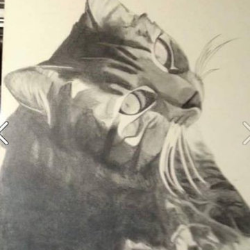 Animal portraits for the young at heart!