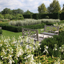 Landscaping ideas