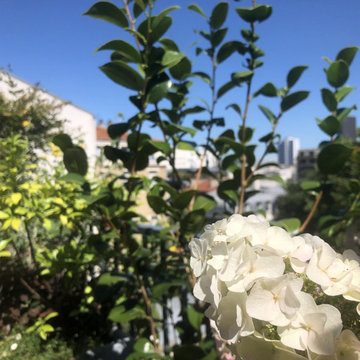 Aménagement paysager d'une terrasse à Paris 14ème...