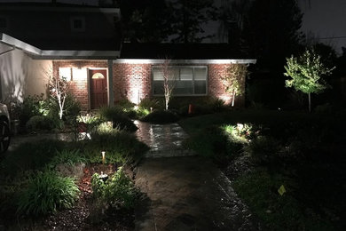 Источник вдохновения для домашнего уюта: регулярный сад среднего размера на переднем дворе в стиле ретро с садовой дорожкой или калиткой, полуденной тенью и мощением тротуарной плиткой