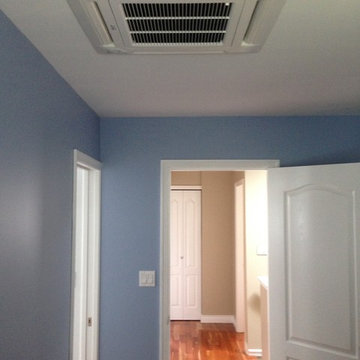 Daikin Ductless Split