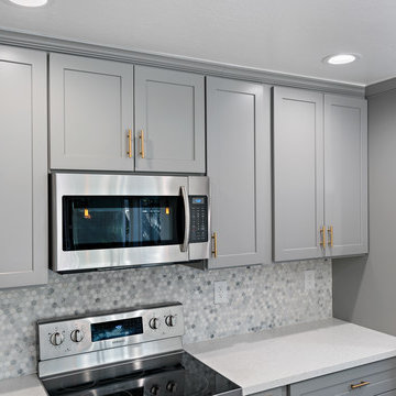 Full House Remodel Fremont JV