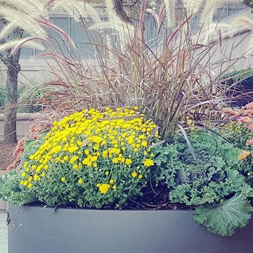 Fall Flower Installs