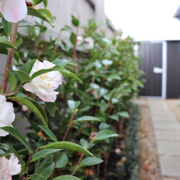 Compact Country Garden