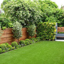 Aloe landscaping Project