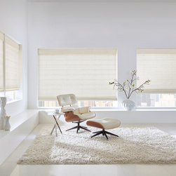 Contemporary Ivory Living Room Custom Window Woven Wood Shades by Hunter Douglas - Window Blinds