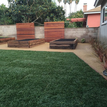 Mid Town Ventura Back Yard
