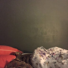 Bedroom Ideas