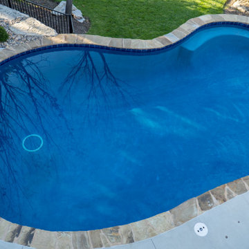 Elegant Freeform gunite pool in Lenexa, KS