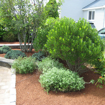 Landscape Bed Management