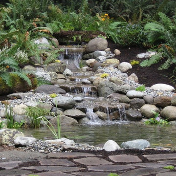 Water Features