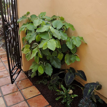 Mexican Influenced Design