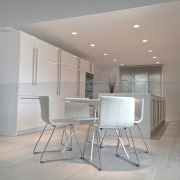 Modern Suburban Renovation
