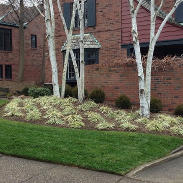 Front Yard Planting Renovation