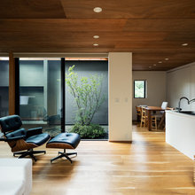 palette interior