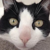 Christian Pratt's photo