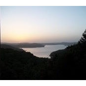 Jane Page's photo