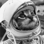 Jon Marinelli's photo