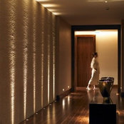 Lighting Passion's photo