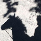 Kate Reeves's photo