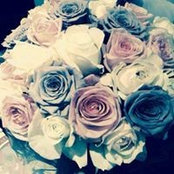 Photo de Bels Bels