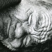 Foto von Sal Mazzurco