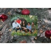 Cathy Shepard Biersner's photo