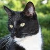 Lois Wilson's photo