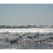 Mark Sudduth's photo