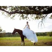 Morgan Knochel's photo