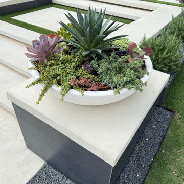 Succulent Planter Concrete Seat Wall