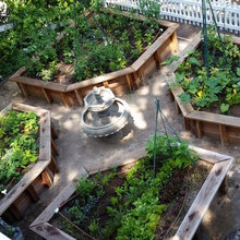 Herb Garden