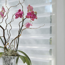 blinds