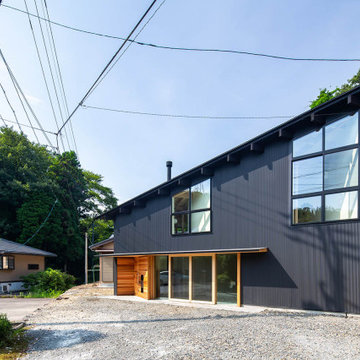 triangle-house