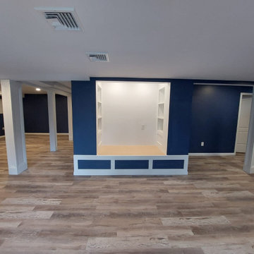 Basement Renovation