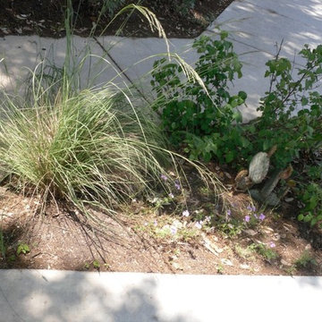 Melridge Place - Austin, TX