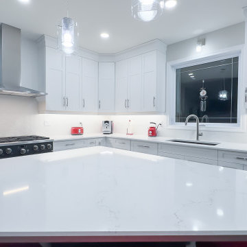 Transitional Kitchen Renovation - Maitland