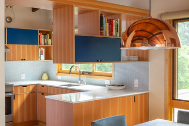 Inspiration for a 1960s kitchen remodel in Minneapolis