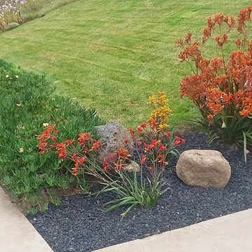 Front Yard Landscaping