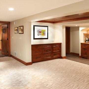 Hopkins Remodel: Basement