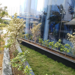 DELL INTERNATIONAL - Plants