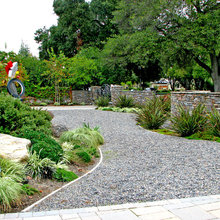 modern backyard
