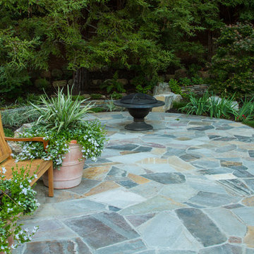 Backyard Peaceful