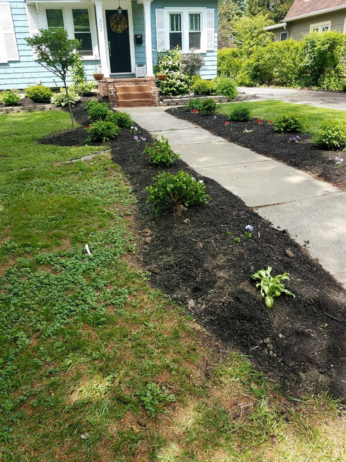 Front yard walkway landscaping help!
