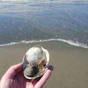 Loraine Gallagher's photo