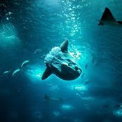 Justyna Drabina's photo