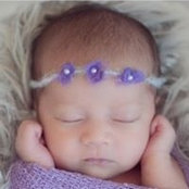 Sandy Haigh's photo