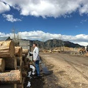 Kevin Roberts's photo