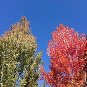 Alan Mei's photo