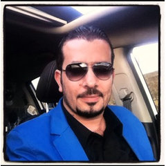 ramidesigner2013